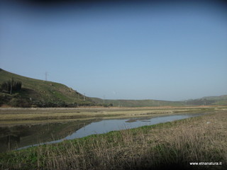 lle del Simeto-24-02-2013 08-50-34